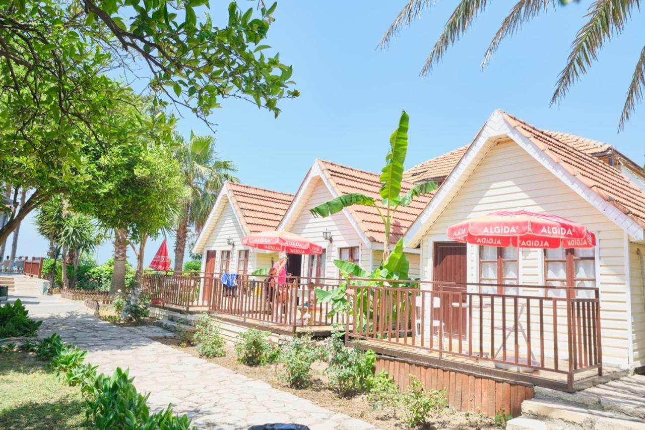 Clover Magic Nova Beach Hotel Side Eksteriør billede